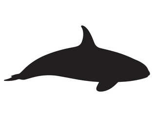 KILLER WHALE SILHOUETTE