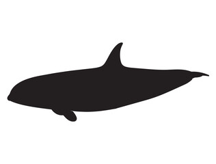 KILLER WHALE SILHOUETTE