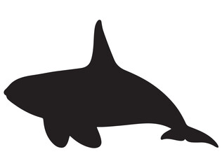 KILLER WHALE SILHOUETTE