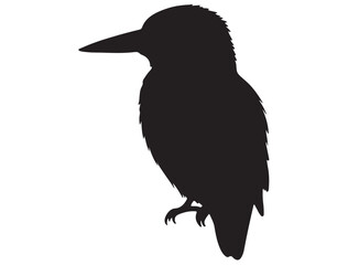 KINGFISHER SILHOUETTE