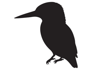 KINGFISHER SILHOUETTE
