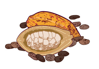 Cocoa fruit, halved cocoa, and scattered dried cocoa beans. Isolated on a transparent background