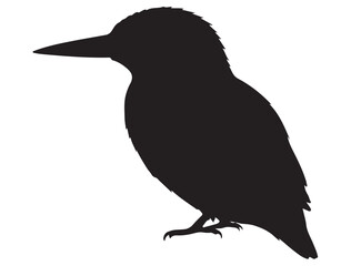 KINGFISHER SILHOUETTE