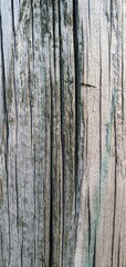 Fototapeta premium urban decay concepts, and material texture references