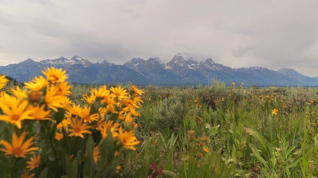 Vibrant yellow wildflowers bloom in the foreground, framed by towering mountains against a dynamic sky, creating a breathtaking panorama that captivates the senses with its stunning beauty