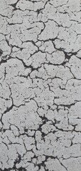 Detailed close-up texture of aged and weathered white asphalt with deep cracks and black underlayer visible. Ideal for backgrounds, urban decay concepts, and material texture references.