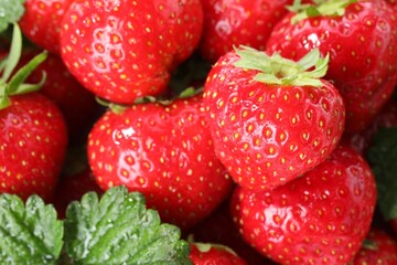 Fresh ripe strawberries as background, closeup view
