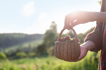 Woman holding basket with fresh strawberries outdoors, closeup. Space for text