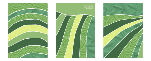 Rural landscape vineyard illustration with abstract background, eco farmland texture, nature pattern, corn field, green grape design, agro art, poster, collage, flat view, organic tea vector layout