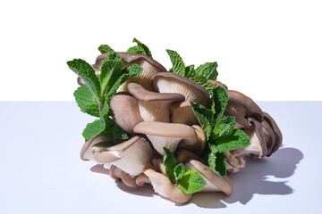 Minimalistic food composition with fresh oyster mushrooms and mint leaves. High contrast lighting,...