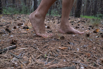 Man walks barefoot through a pine forest. Closeup.