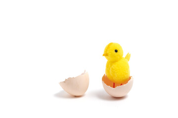Easter egg and yellow chicken isolated on white background, easter concept.