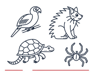 Fototapeta premium Outlined drawing featuring a parrot on a branch, a spiky mammal, turtle and spider on white background