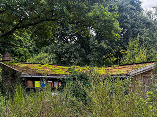 Green roof on wooden shed. Colorful beehives and a hanging straw skep under leafy trees. Heemtuin Malden, a public ecological garden in the Netherlands, July 2025