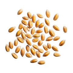 Golden wheat kernels isolated on transparent background