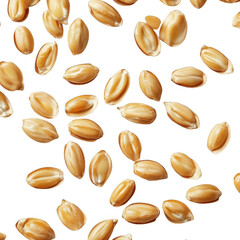 Obraz premium Scattered wheat grains isolated on transparent background