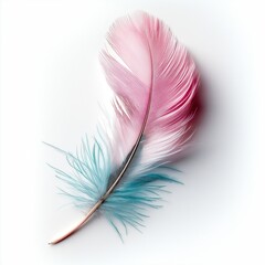 Elegant pink and blue feather illustration with smooth gradients and artistic details, isolated on white background. Perfect for decor, design, or nature themes