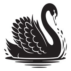 Obraz premium Elegant silhouette of a black swan floating gracefully on water with ripples and splashes