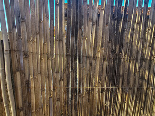 Obraz premium Rustic handmade bamboo fence.