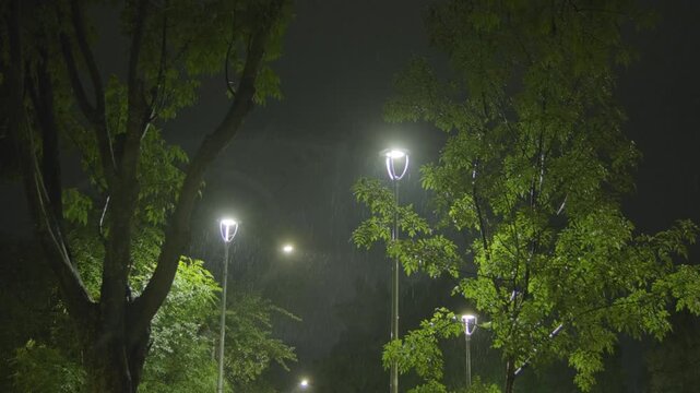 A serene and cinematic 4K night scene showing gentle rain falling over a quiet park, softly illuminated by modern LED streetlights. perfect for themes of peace, melancholy or loneliness.