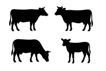 Fototapeta premium Colorful Sparkling Star Line Art, Vibrant Starburst Icon Set, Twinkling Sparkle Shapes, Shooting Stars in Diverse Styles, Bright Festive Vector Elements for Creative Projects and Holiday Celebrations