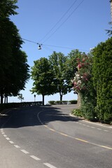 Curved summer road with trees and street lamp in Bergamo, Europe