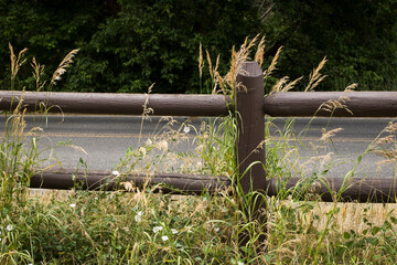 Canyon grass sways beside a weathered wood fence, with a quiet rural road and scattered trees...