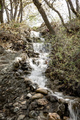 A gentle stream flows smoothly over weathered rocks, creating a tranquil scene filled with the...