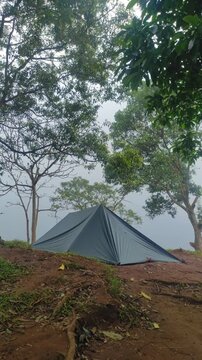 A dark-colored flysheet tent stands on a misty mountain peak, surrounded by tall trees and foggy skies, creating a serene and secluded camping atmosphere.