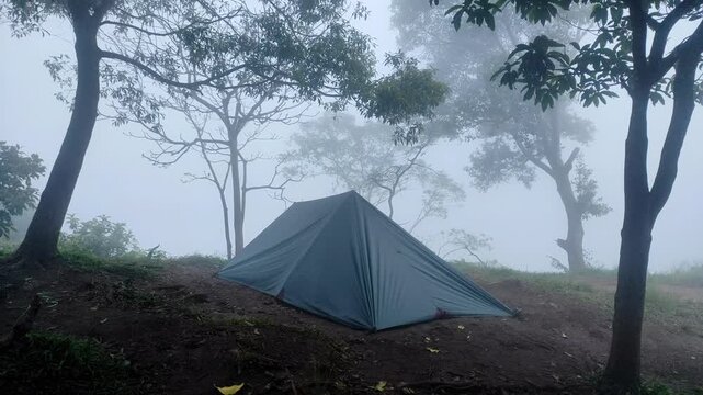 A dark-colored flysheet tent stands on a misty mountain peak, surrounded by tall trees and foggy skies, creating a serene and secluded camping atmosphere.