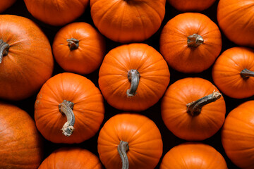 Top-down close-up of a group of orange pumpkins filling the frame. Bright fall scene ideal for...