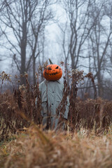 Misty autumn field hides a scarecrow with carved pumpkin head. Creepy holiday figure placed in...