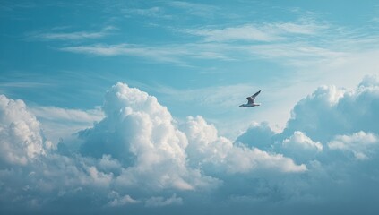 Fototapeta premium A solitary seagull soars through a vast expanse of fluffy white clouds against a vibrant cerulean sky