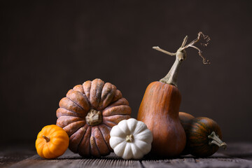 Cozy pumpkins in various shapes placed on wooden surface with dark background. Close-up autumn...