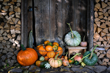 Cozy country scene with different type of pumpkins stacked near old wooden barn door on a village...