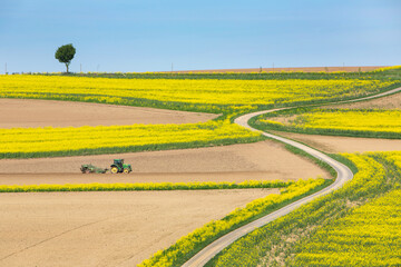 tractor at work on field between rapeseed fields in the north of luxemburg