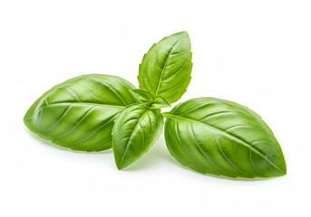 Close-up of herb isolated on white background