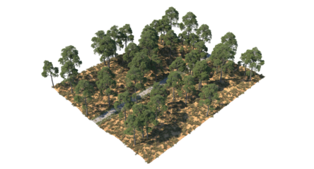 stones path in the forest with trees shadow, isometric view