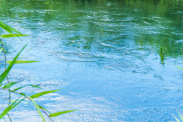 夏の風景　空を映す川の流れ01