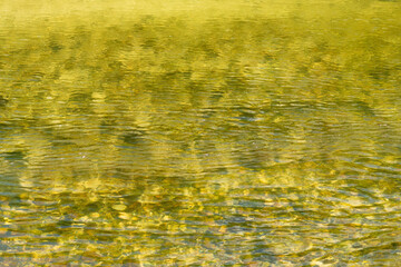 夏の川　浅瀬の水面の表情02