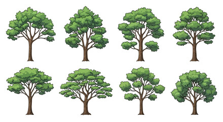 Set of Cartoon Green Trees Illustrations