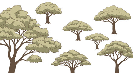 Fototapeta premium African Savanna Acacia Trees Illustration Set