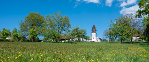 spring flowers and village church in nature park saar-hunsrueck near trier in germany