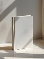 Minimalist white book on sunlit surface with soft shadows.