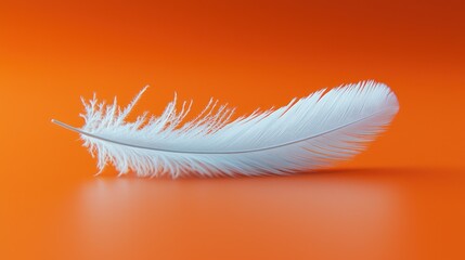 Obraz premium A single white feather rests on a vibrant orange surface