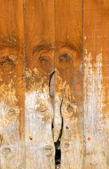 Wood hole and texture background.