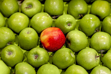 Red Apple Among Green Ones