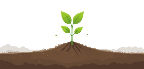 Green Plant Emerging from Soil in Natural Environment