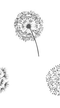Animation of black dandelion clocks on white backgroud