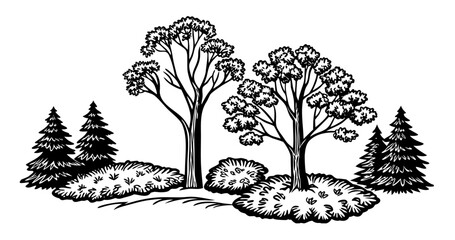 Vintage Forest Trees and Bushes Illustration in Black and White Engraving Style.